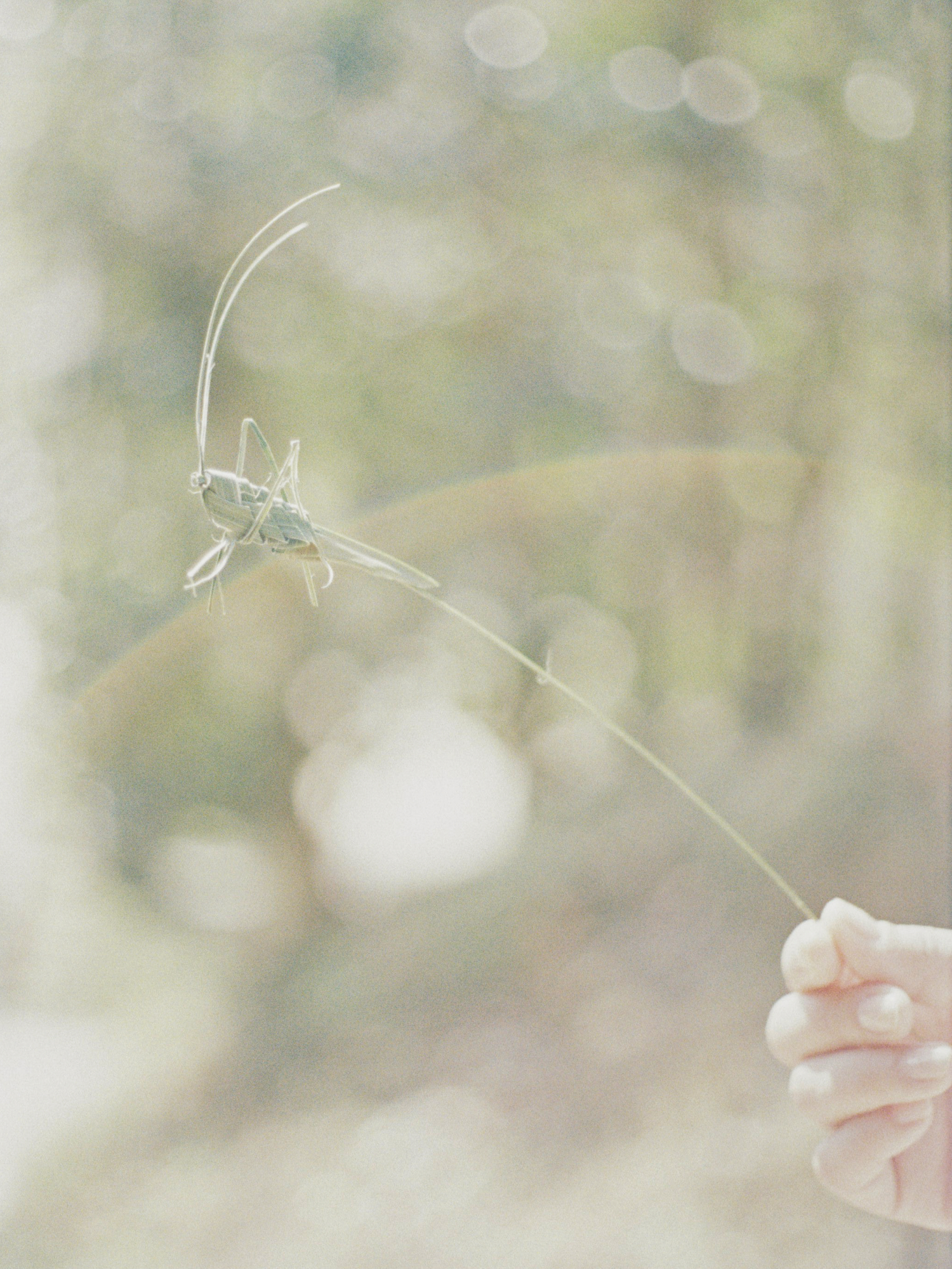 Tether