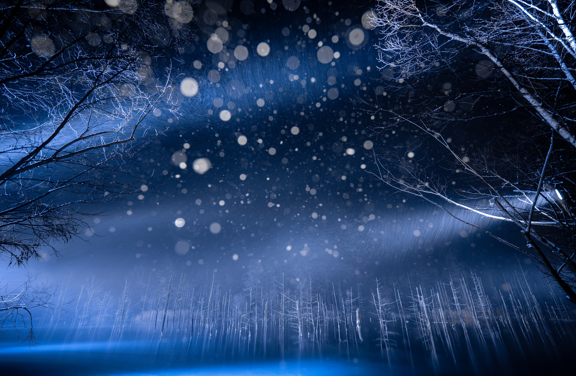 New Artist | Takahiro Gamou: Where Light, Time & Life Converge