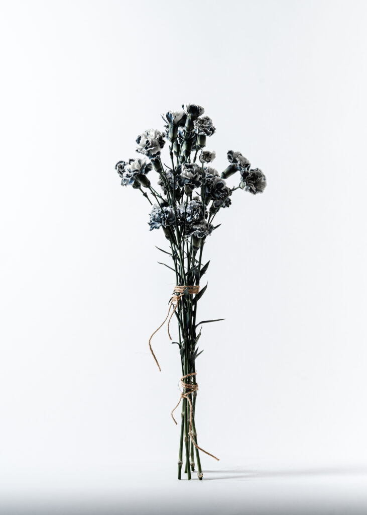 Black Carnation
