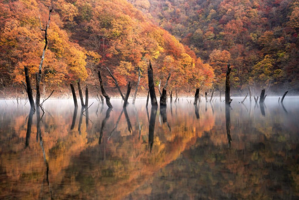 Autumn Palette