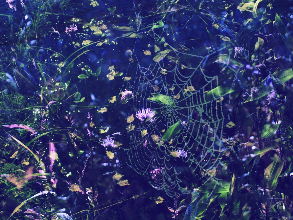BREATH #02
