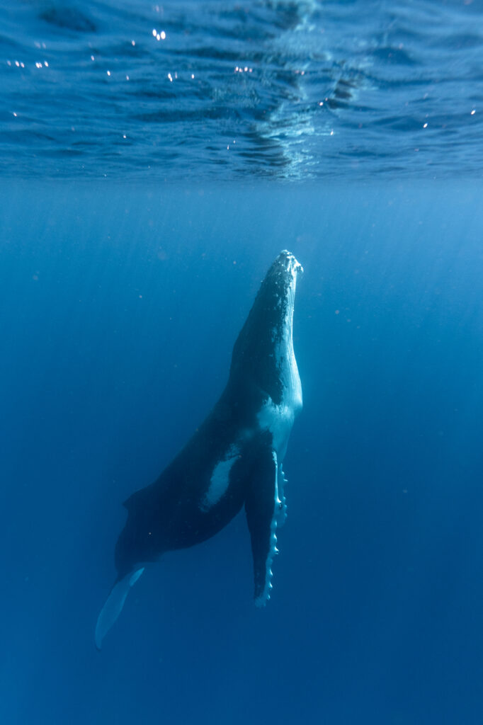 Breath 2