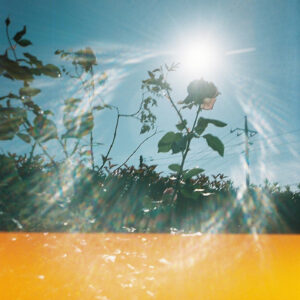 Distant Voice #01