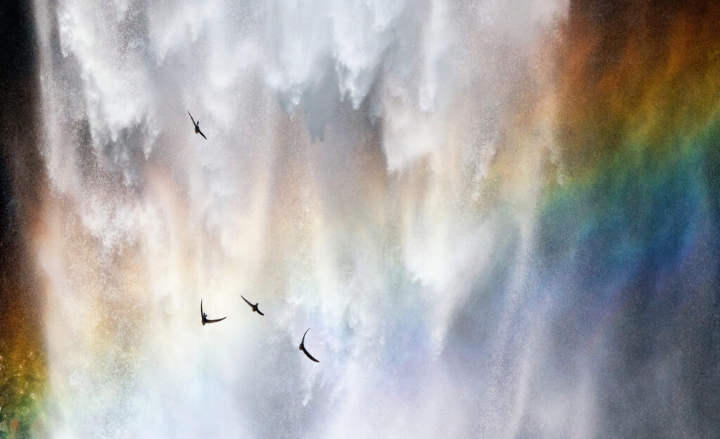 Soaring