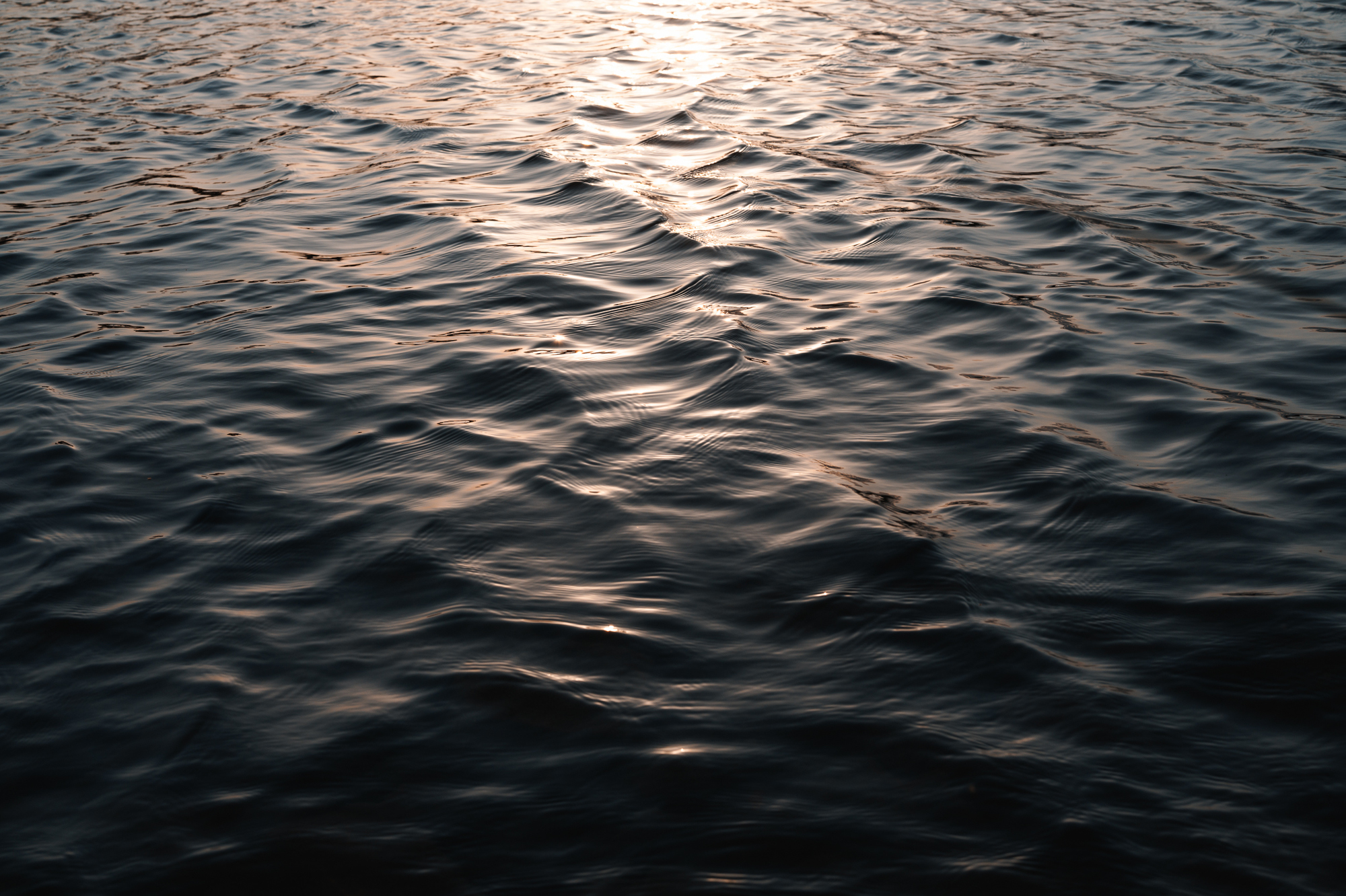 WAVE MY LIGHT 09