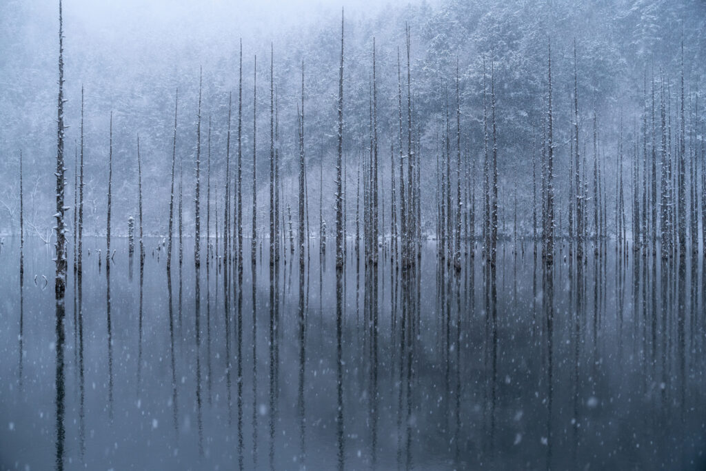 Winter Silence