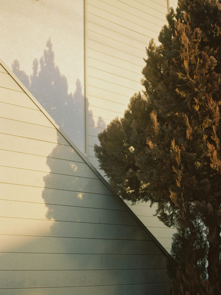Shadow Remains