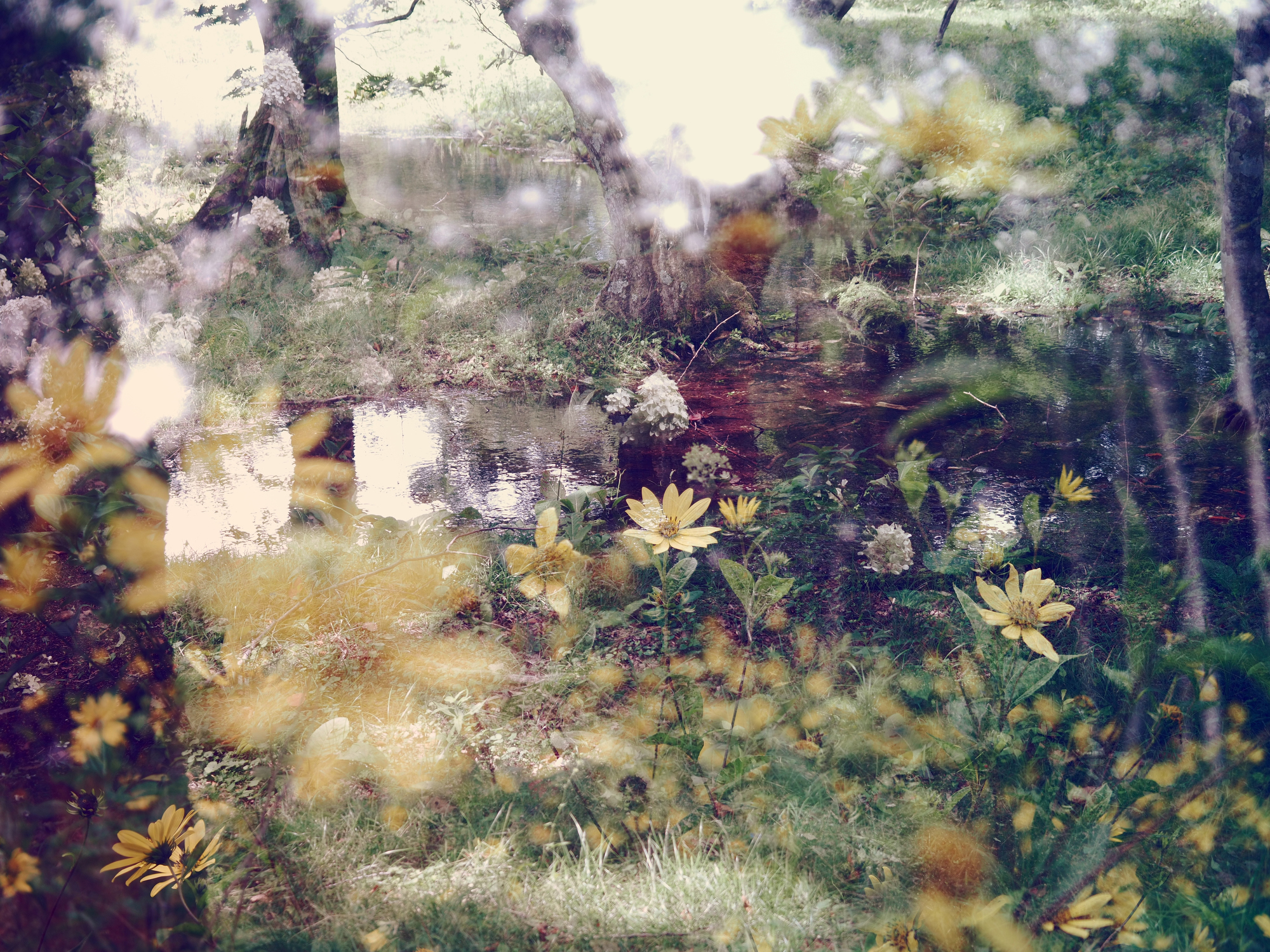 even if the sky cracks and lies drop #01