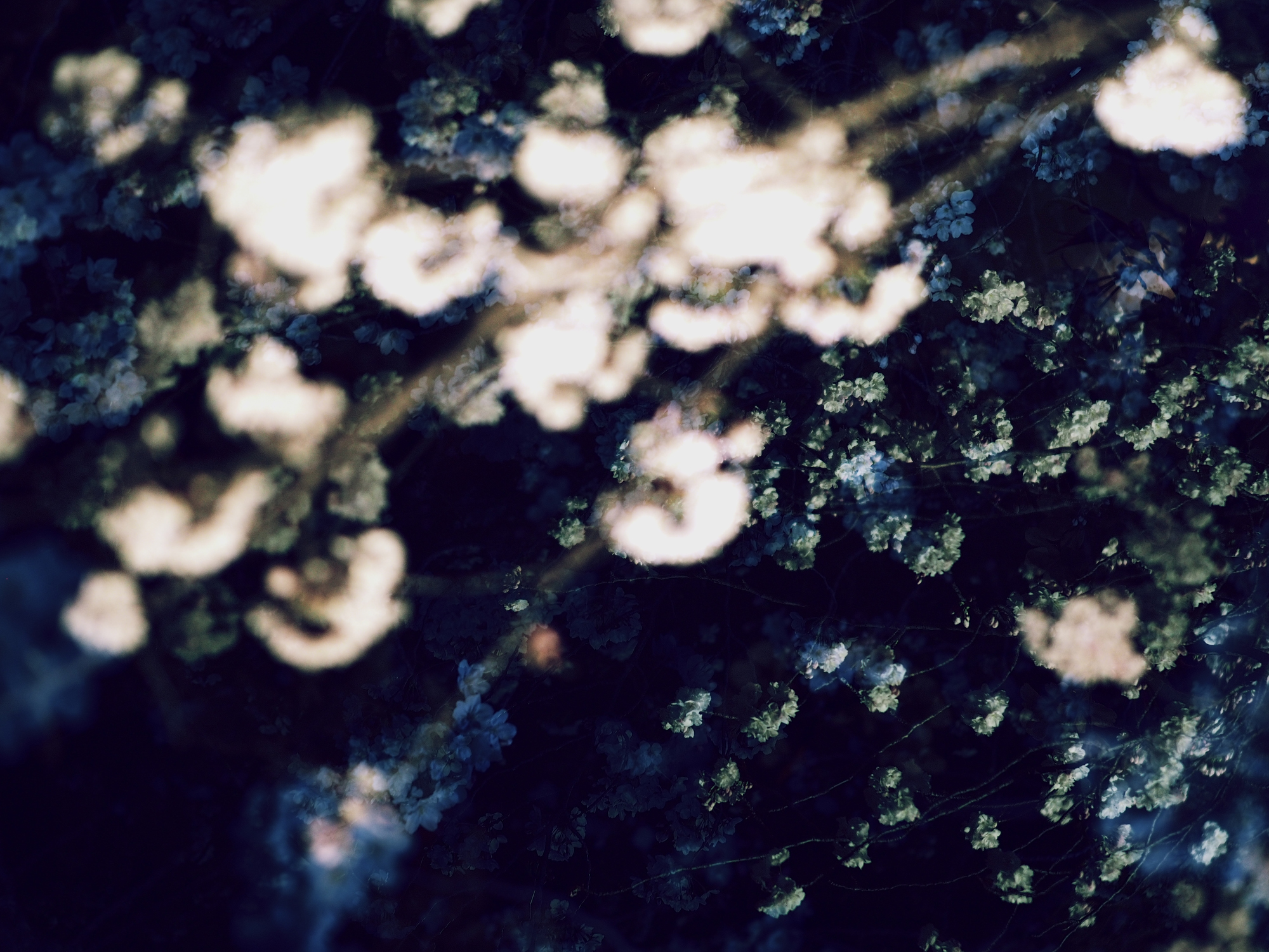 even if the sky cracks and lies drop #03