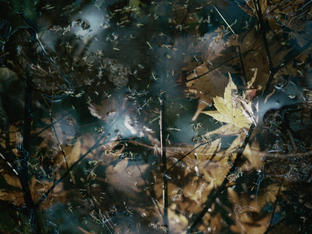 even if the sky cracks and lies drop #04